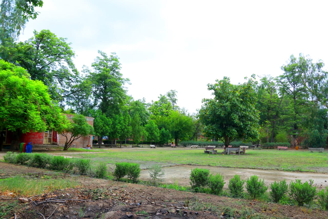 College Gallery Image